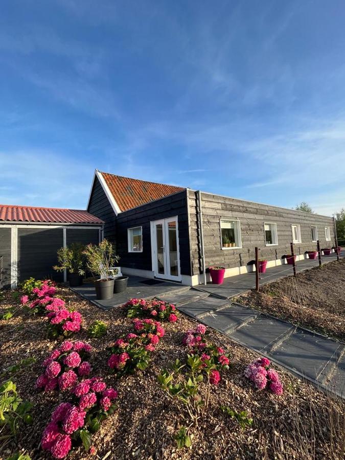 Bed and Breakfast De Tulp Noordgouwe Exteriér fotografie