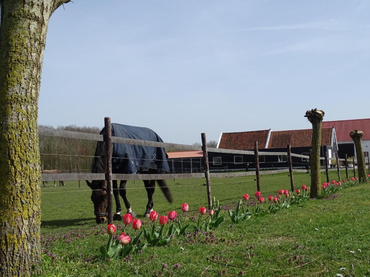 Bed and Breakfast De Tulp Noordgouwe Exteriér fotografie