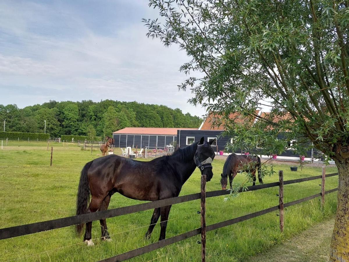 Bed and Breakfast De Tulp Noordgouwe Exteriér fotografie