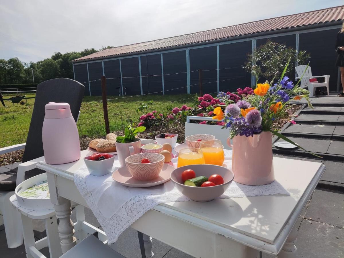 Bed and Breakfast De Tulp Noordgouwe Exteriér fotografie
