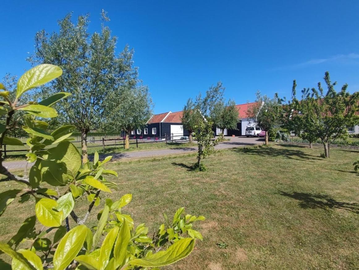 Bed and Breakfast De Tulp Noordgouwe Exteriér fotografie