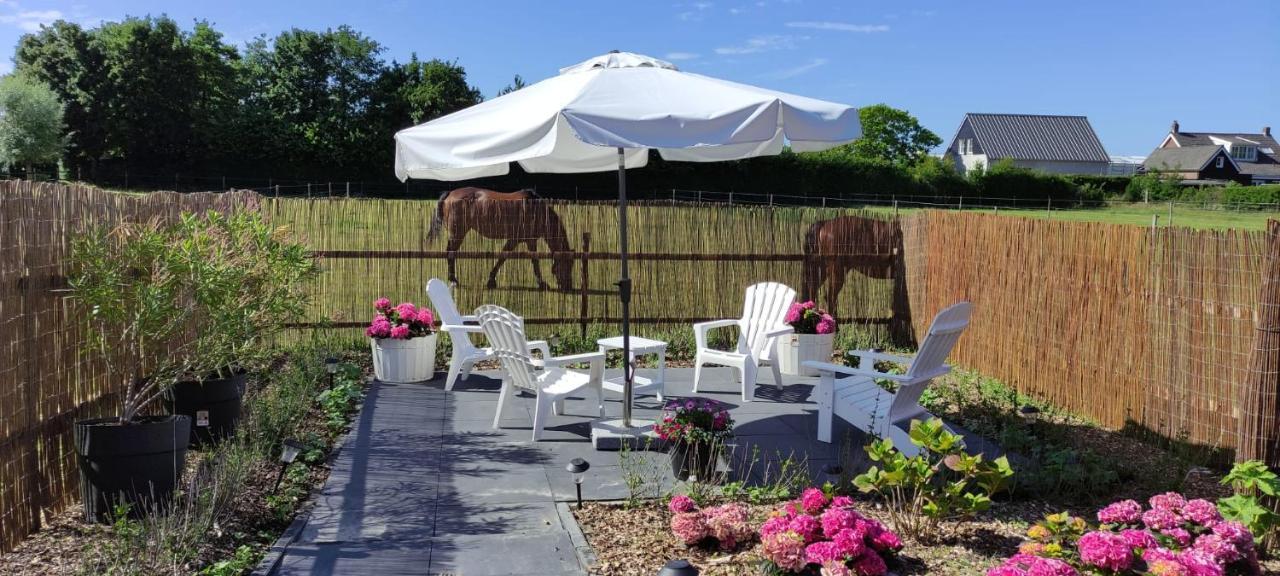 Bed and Breakfast De Tulp Noordgouwe Exteriér fotografie
